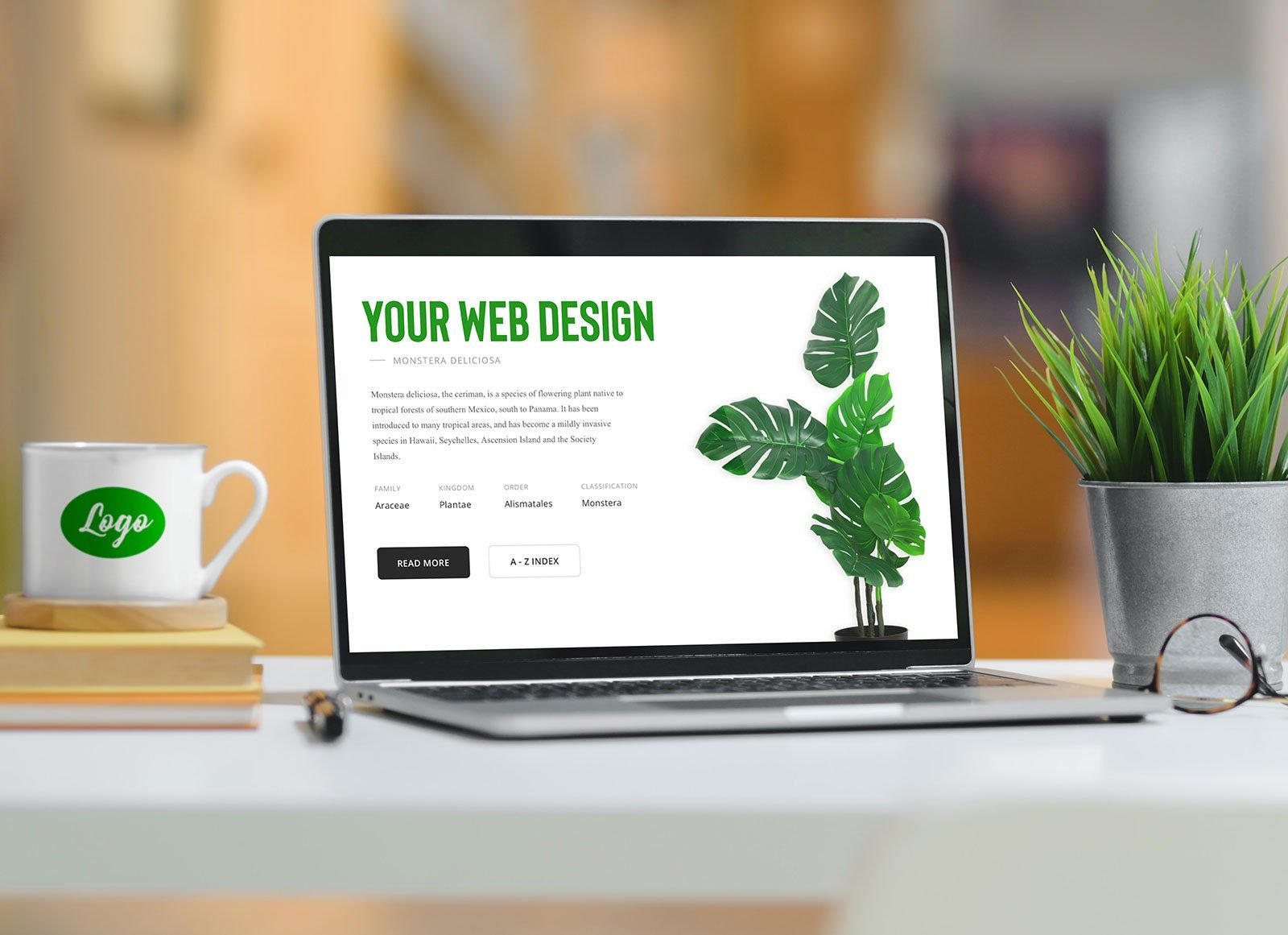Web Design for Insurance Brokers in South Africa | Web Design Experts SA — professional